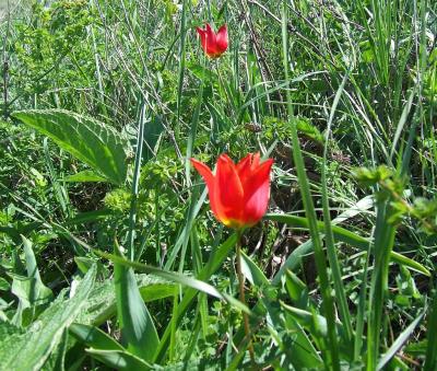 Прикрепленное изображение: 309.jpg